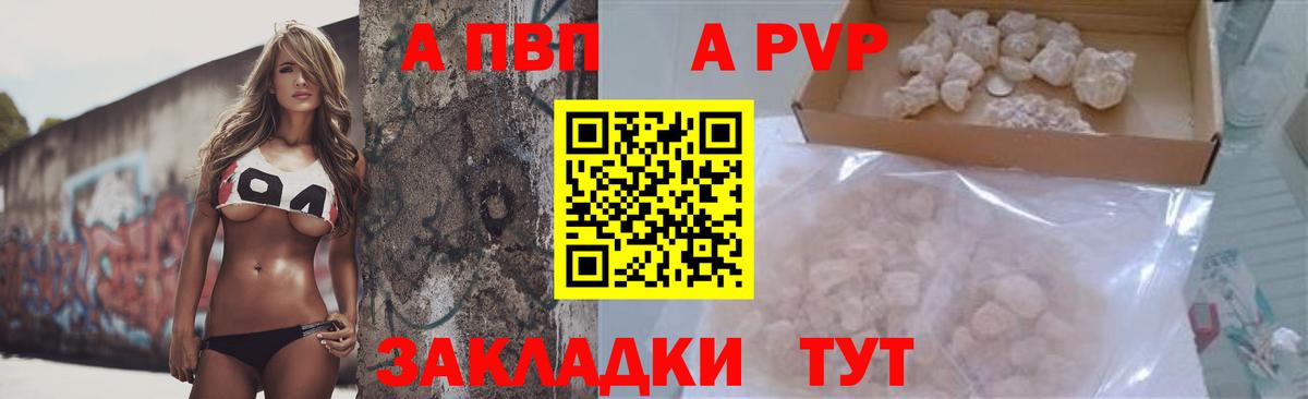 APVP СК Дагестанские Огни