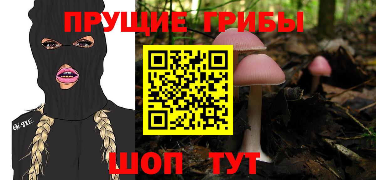 Псилоцибиновые грибы мухоморы Дагестанские Огни